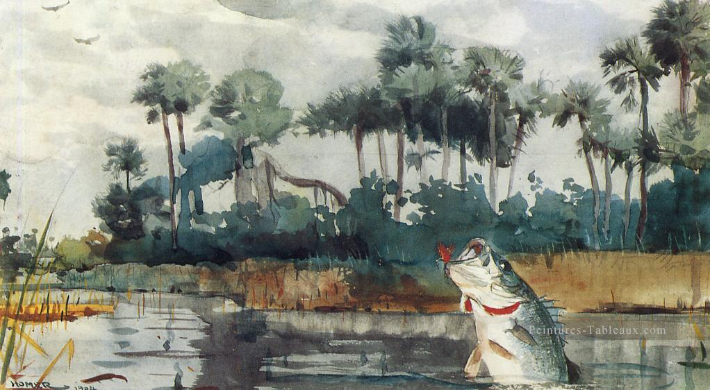 Basse Noire Florida réalisme peintre Winslow Homer Peintures à l'huile